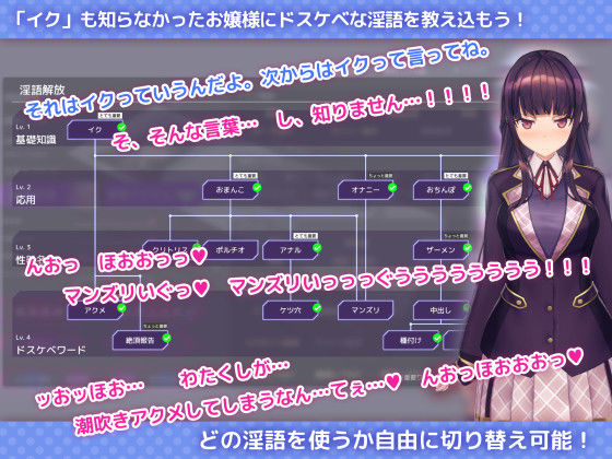 洗脳アプリで清楚なお嬢様をドスケベ調教するシミュレーション - d_453930 - dobuworks