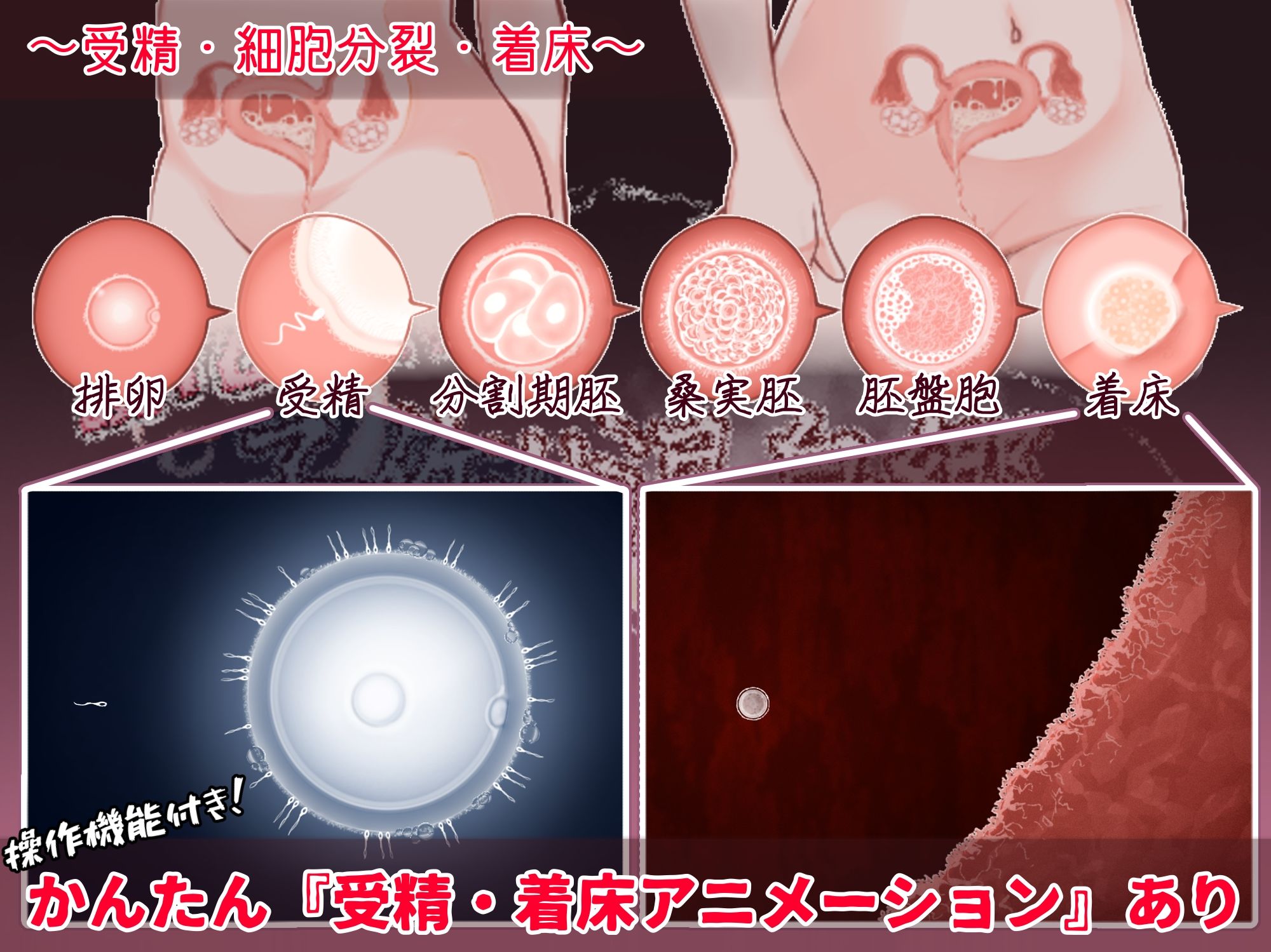 おいでませ！子作り温泉郷 - d_734450 - たいちょん工房
