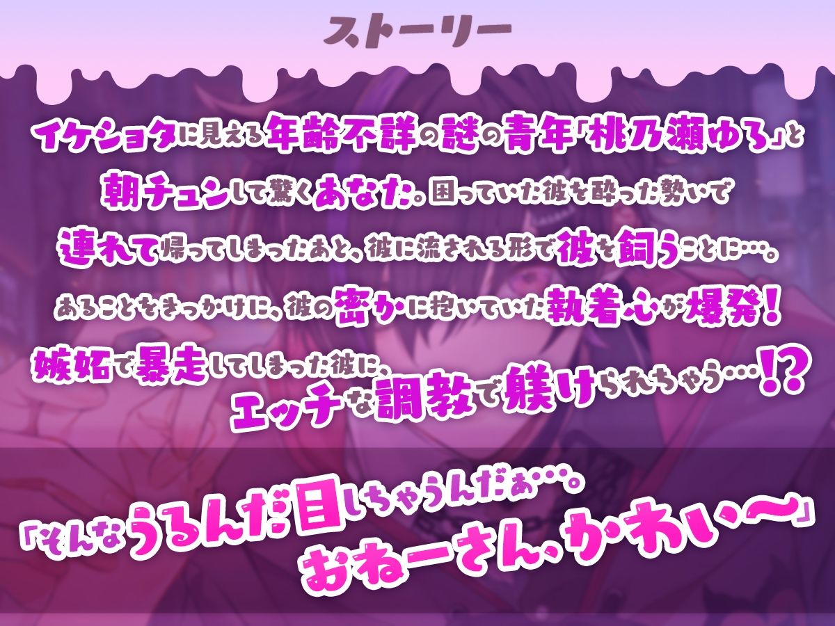 朝チュンから始まる同棲『性』活 〜おねーさん。ぼくのこと飼ってくれるんじゃなかったの？〜