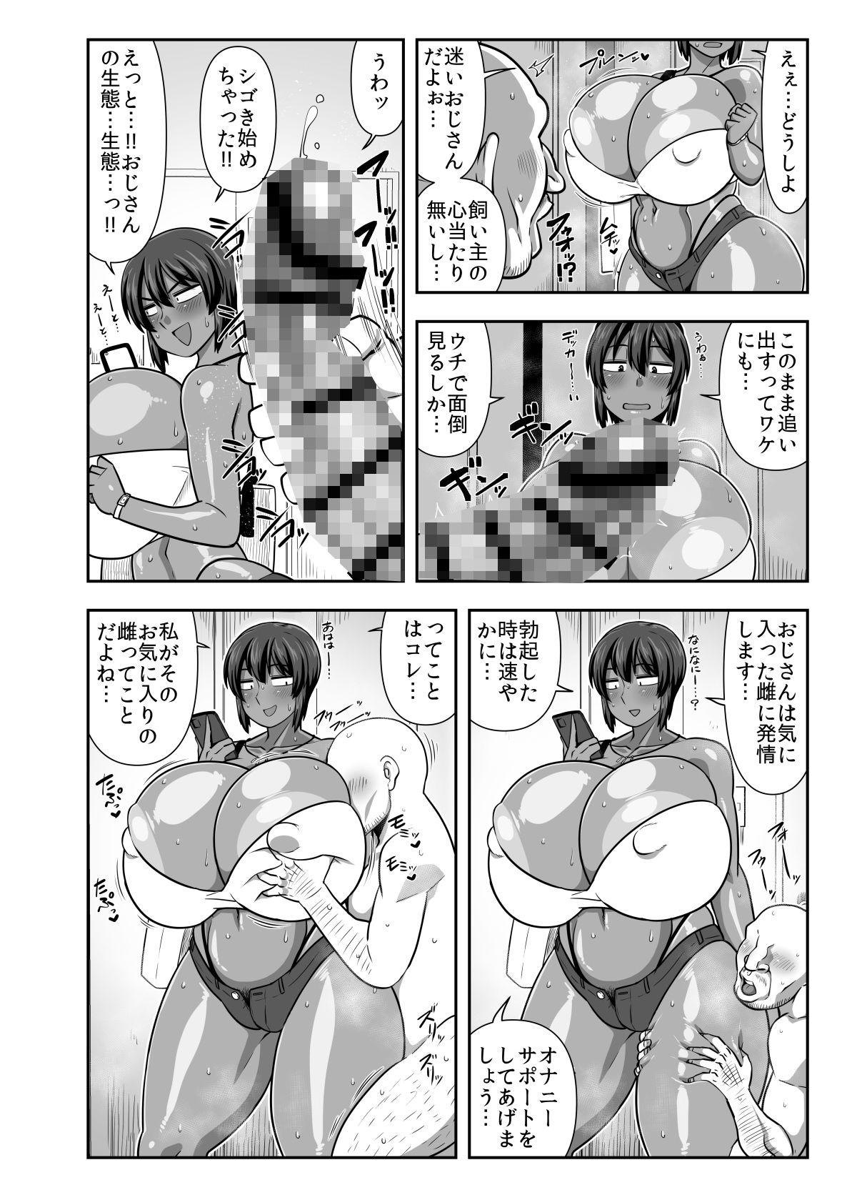 夏季 迷いおじさんを飼う。 - d_501274 - 夏中症