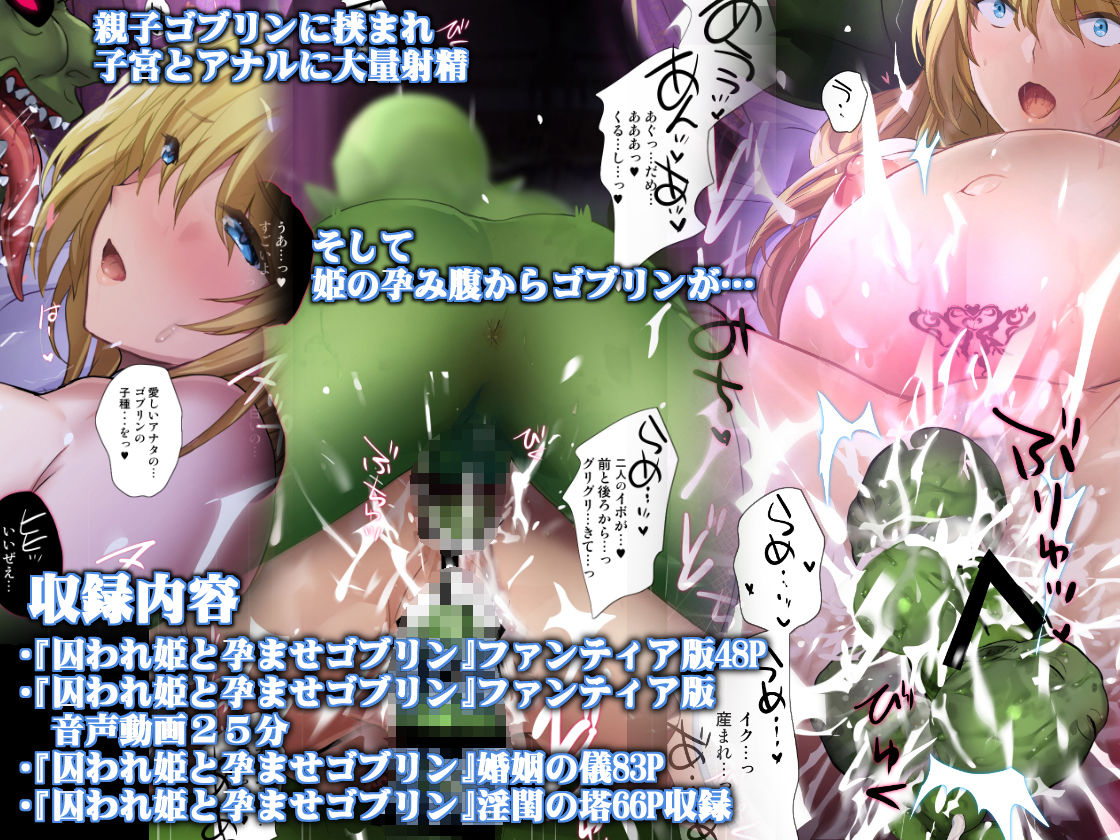 囚われ姫と孕ませゴブリン - d_582735 - 斬鬼楼