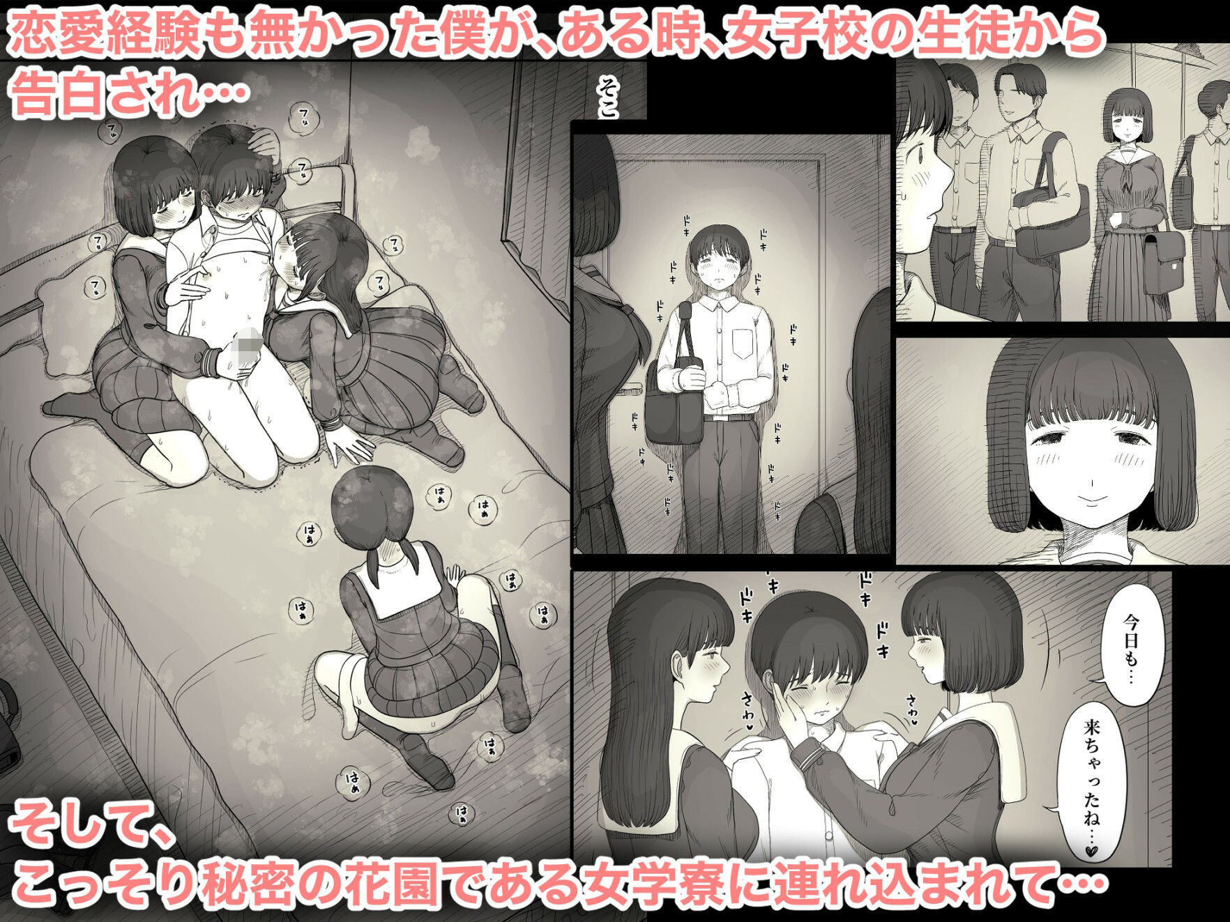 女学寮に誘われて2 - d_601444 - ひまわりのたね